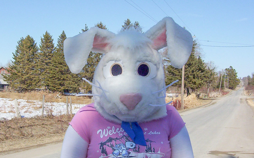 White Rabbit