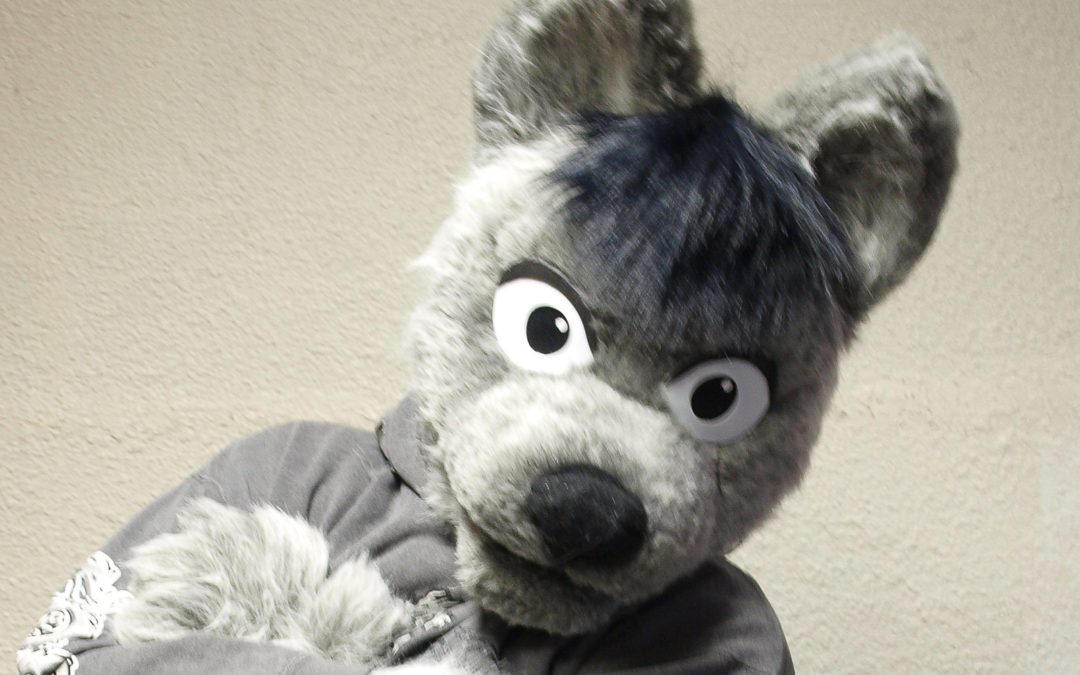 Grey Wolf