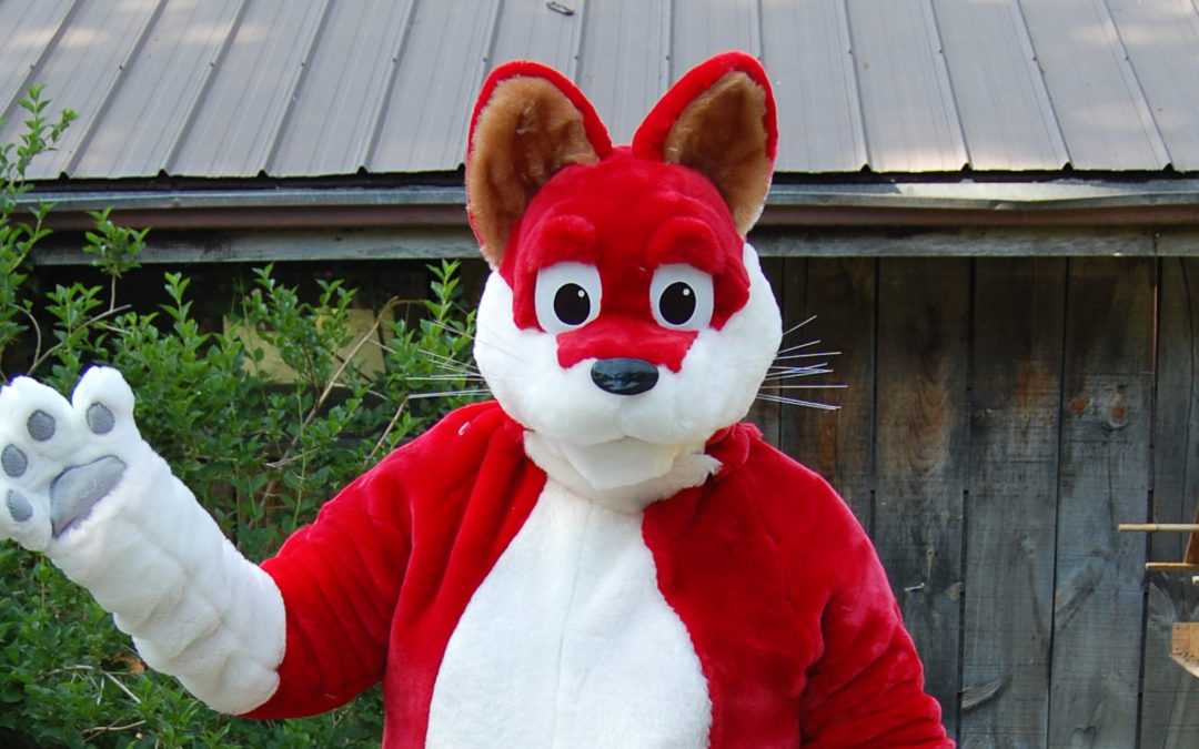 Red Cat