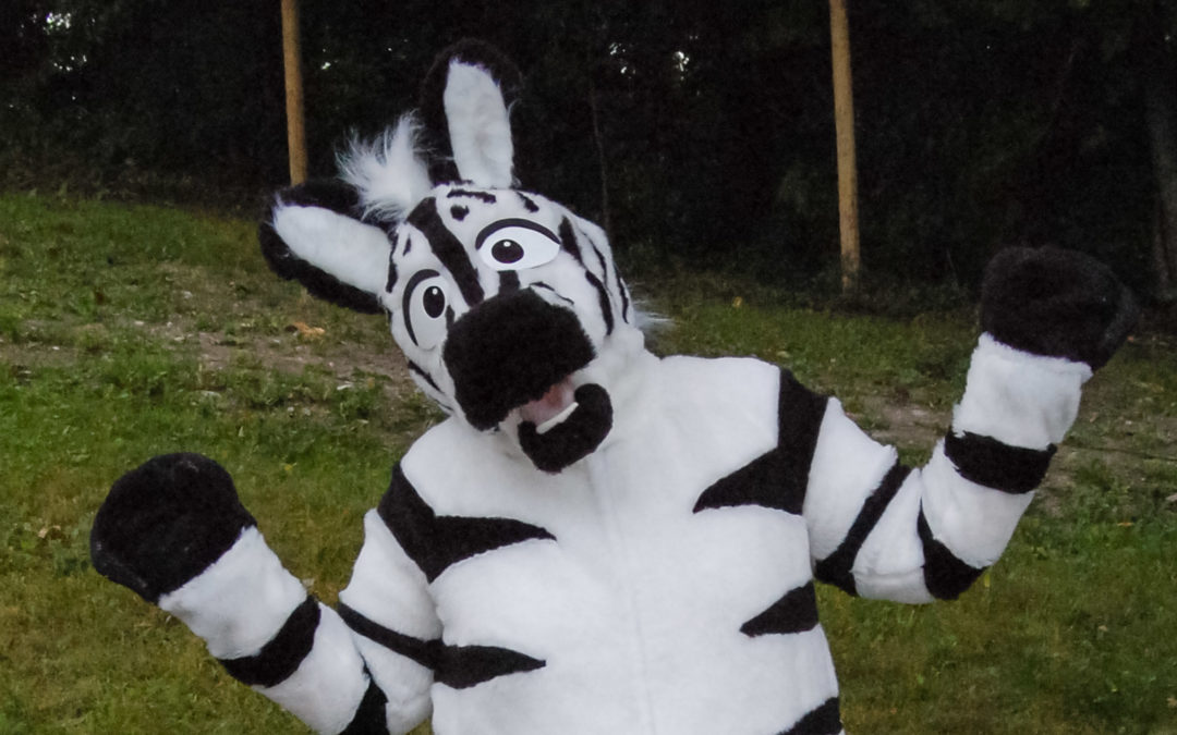 Zebra