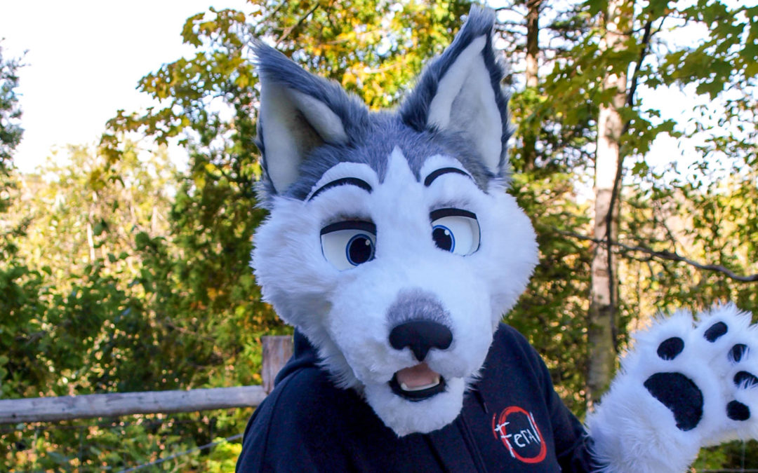 Malamute