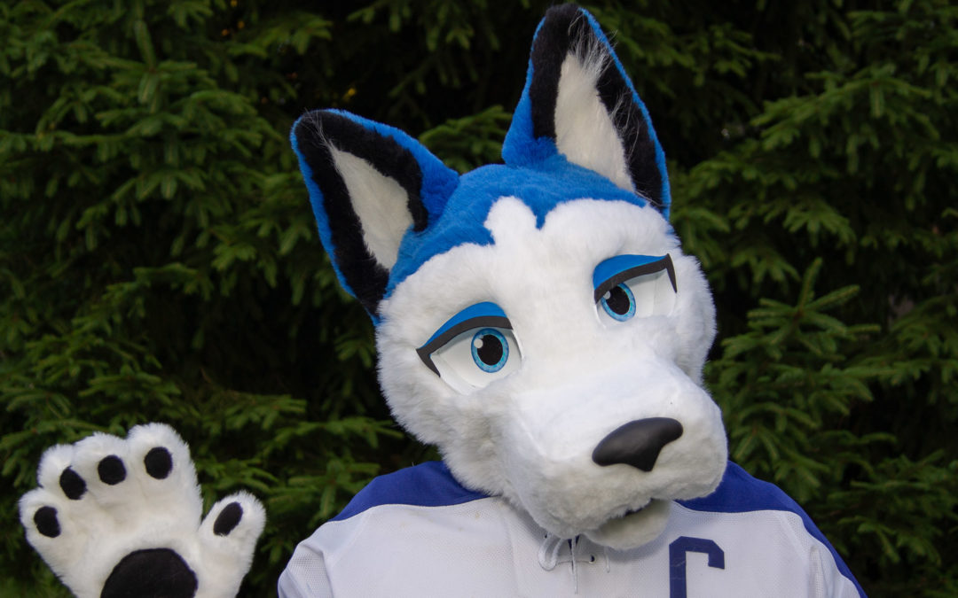 Blue Husky
