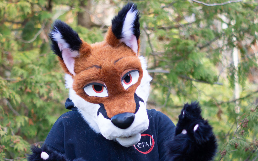 Brown Fox