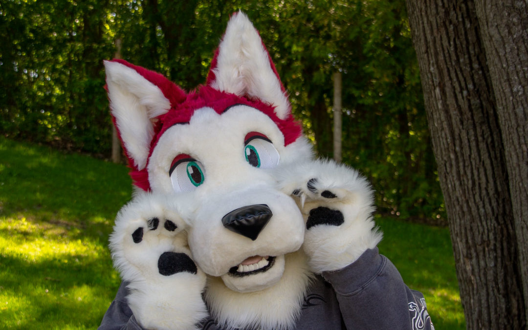 Burgundy Husky