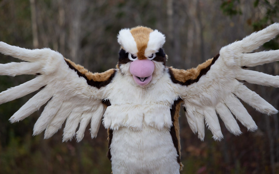 Pidgey
