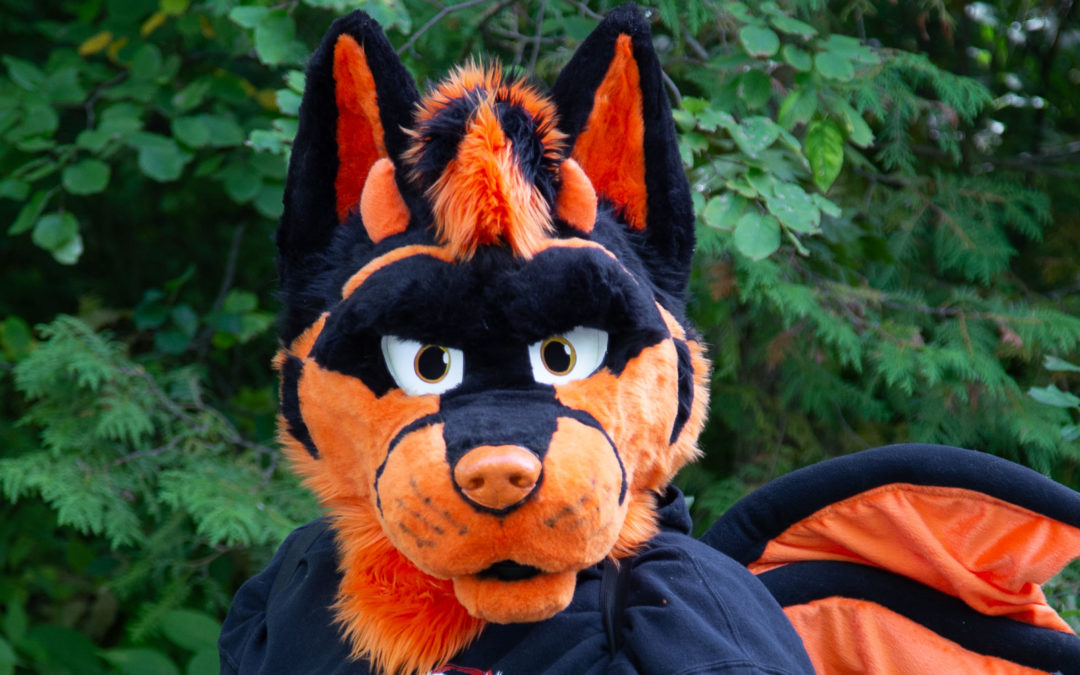 Dragon Wolf