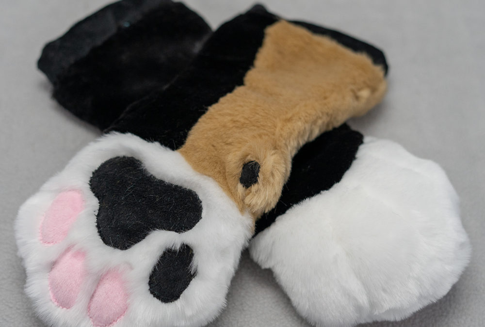Calico Mitten Paws