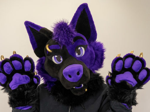 Purple & Black Canine
