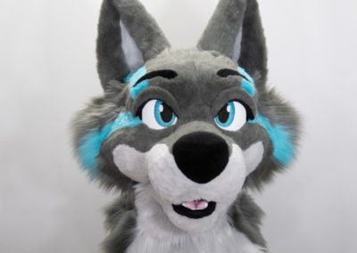 Teal Grey Wolf