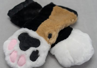 Calico Mitten Paws