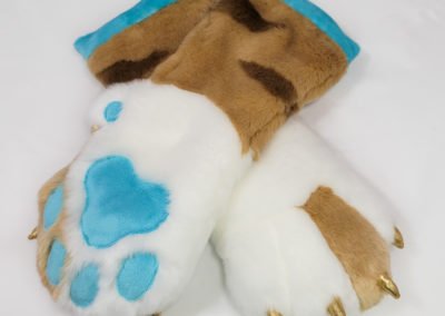 Calico Mitten Paws