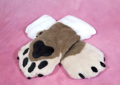 Tan & White Mitten Paws