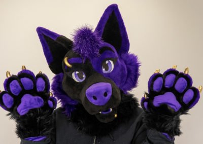 Purple & Black Canine